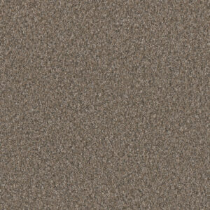 Dreamweaver Carpet Timberline I Butterfly Carpet 6345_5295