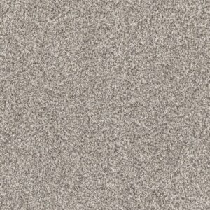 Dreamweaver Carpet Affinity III Wheat Carpet 6376_2650