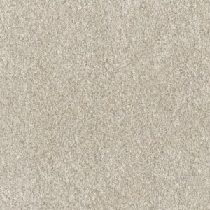 Dreamweaver Carpet Affinity III Bisque Carpet 6376_4014