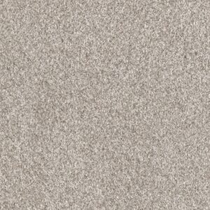 Dreamweaver Carpet Affinity II Elkhound Carpet 6362_4042