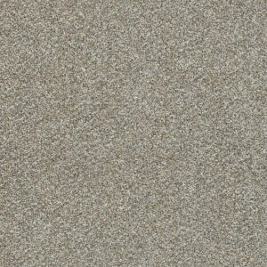Dreamweaver Carpet Affinity I Gravel Carpet 6342_4135