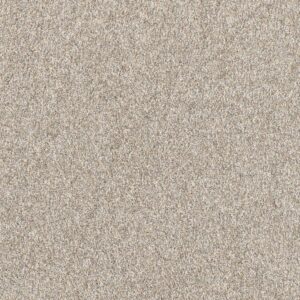 Dreamweaver Carpet Affinity I Plateau Carpet 6342_4227