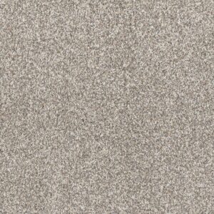 Dreamweaver Carpet Affinity III Classy Carpet 6376_4309