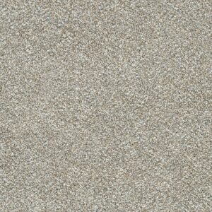 Dreamweaver Carpet Affinity III Canyon Dusk Carpet 6376_4366