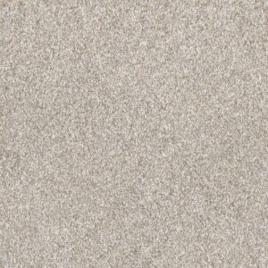 Dreamweaver Carpet Affinity II Sparrow Carpet 6362_4391