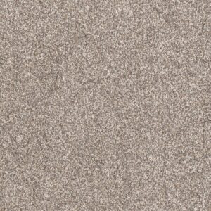 Dreamweaver Carpet Affinity I Celestial Carpet 6342_4456