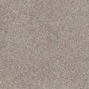 Dreamweaver Carpet Affinity II Mesa Carpet 6362_4620