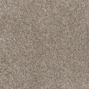Dreamweaver Carpet Affinity I Spice Carpet 6342_4695