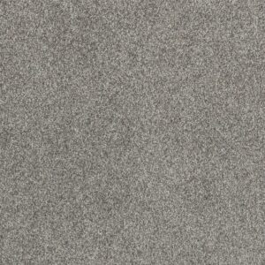 Dreamweaver Carpet Affinity II Moxie Carpet 6362_4873