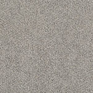 Dreamweaver Carpet Affinity II Meadow Carpet 6362_5328