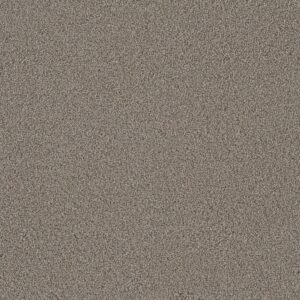 Dreamweaver Carpet Metropolis II Natural Glow Carpet 6446_175