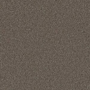 Dreamweaver Carpet Metropolis II Carmel Carpet 6446_240