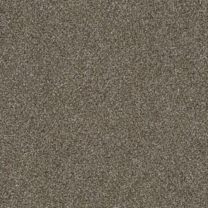 Dreamweaver Carpet Mirage I Baseline Carpet 6740_2248