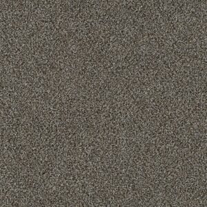 Dreamweaver Carpet Mirage II Turnabout Carpet 6750_2404