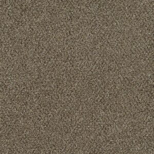 Dreamweaver Carpet Mirage III Prescott Carpet 6760_5202