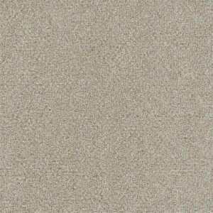Dreamweaver Carpet Mirage I Sugarland Carpet 6740_4102
