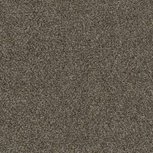 Dreamweaver Carpet Mirage I Fortuna Carpet 6740_4731