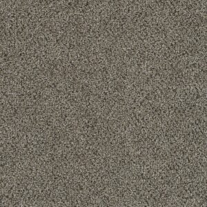 Dreamweaver Carpet Mirage II Boardwalk Carpet 6750_4963