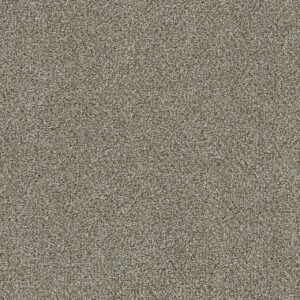 Dreamweaver Carpet Mirage II Bold Nature Carpet 6750_5036