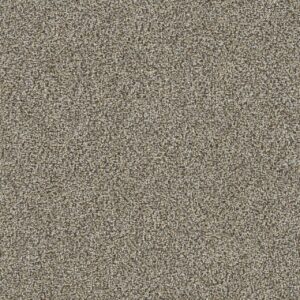 Dreamweaver Carpet Mirage III Amherst Carpet 6760_5114