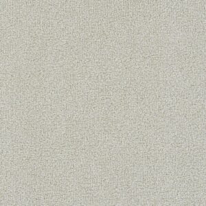 Dreamweaver Carpet Mirage II Grand Finish Carpet 6750_5277