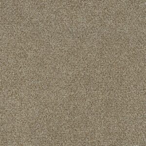 Dreamweaver Carpet Mirage II Butterscotch Carpet 6750_5288