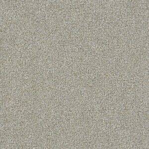 Dreamweaver Carpet Mirage I Tortola Carpet 6740_5320