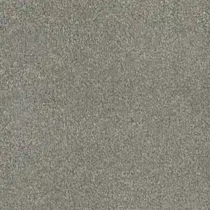 Dreamweaver Carpet Luxor II Sandy Trail Carpet 7750_495