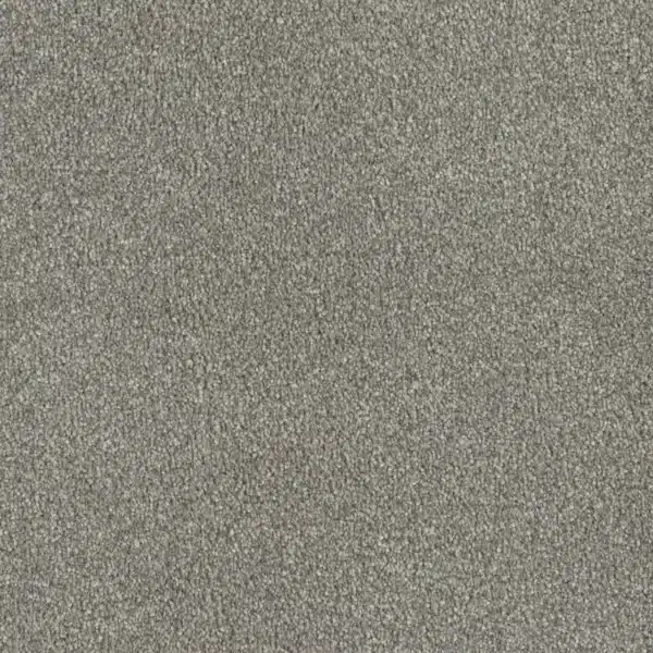 Dreamweaver Carpet Luxor II Sandy Trail Carpet 7750_495