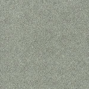 Dreamweaver Carpet New Dawn II Fearless Carpet 7665_2613