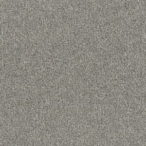 Dreamweaver Carpet New Dawn II Ambience Carpet 7665_2756