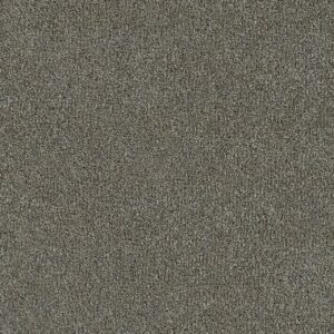 Dreamweaver Carpet New Dawn II Wishing Well Carpet 7665_2808