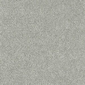 Dreamweaver Carpet New Dawn III Altavista Carpet 7775_4107