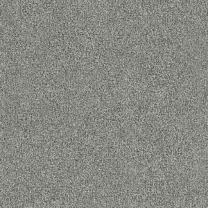 Dreamweaver Carpet New Dawn III Big Moment Carpet 7775_4253