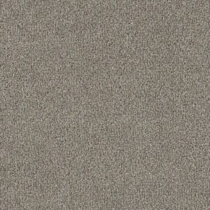 Dreamweaver Carpet New Dawn I Trailside Carpet 7555_4288