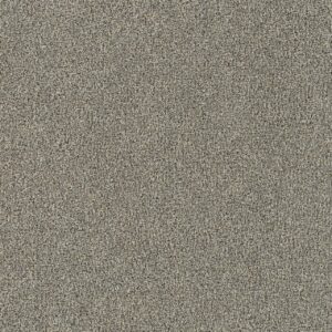 Dreamweaver Carpet New Dawn I Sunnyside Carpet 7555_4330