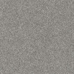 Dreamweaver Carpet New Dawn I Winter Blues Carpet 7555_4418