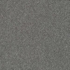 Dreamweaver Carpet New Dawn II Star Fall Carpet 7665_4441