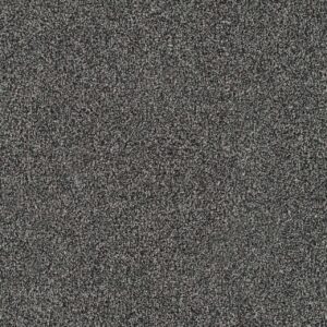 Dreamweaver Carpet New Dawn II Nightsong Carpet 7665_4820