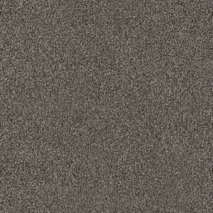 Dreamweaver Carpet New Dawn I Woodland Carpet 7555_4899