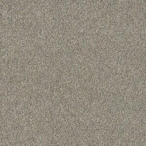 Dreamweaver Carpet New Dawn II Whisper Carpet 7665_5014