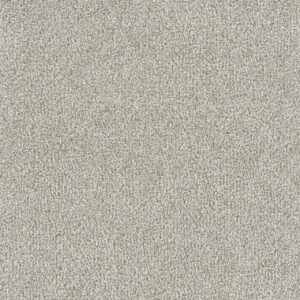 Dreamweaver Carpet New Dawn II Fairview Carpet 7665_5099