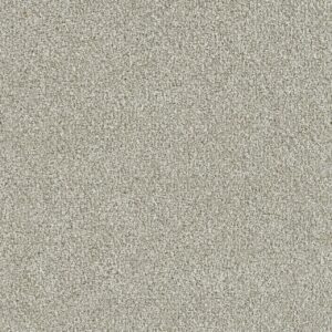 Dreamweaver Carpet New Dawn II Orchard Carpet 7665_5286