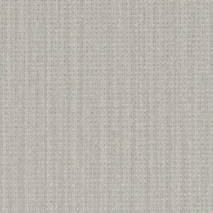 Dreamweaver Carpet Davos Natural Ice Carpet 8123_4938