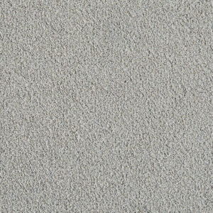 Dreamweaver Carpet Pretty Penny I Lotus Carpet 8245_2663