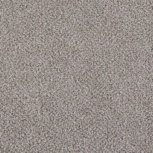 Dreamweaver Carpet Pretty Penny III Kenya Carpet 8275_2750