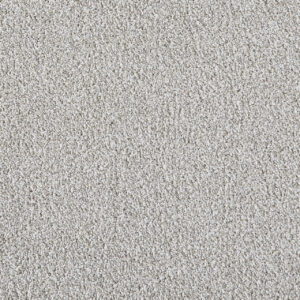 Dreamweaver Carpet Pretty Penny III Iridescence Carpet 8275_2752
