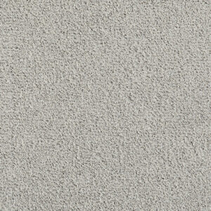 Dreamweaver Carpet Pretty Penny II Nimbus Carpet 8260_2838