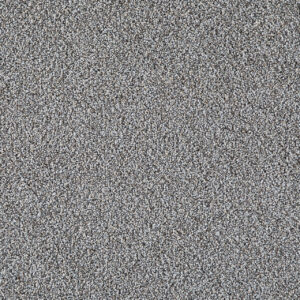 Dreamweaver Carpet Pretty Penny I Mellow Carpet 8245_2989