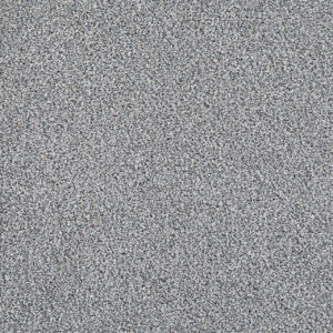 Dreamweaver Carpet Pretty Penny I North Star Carpet 8245_4075